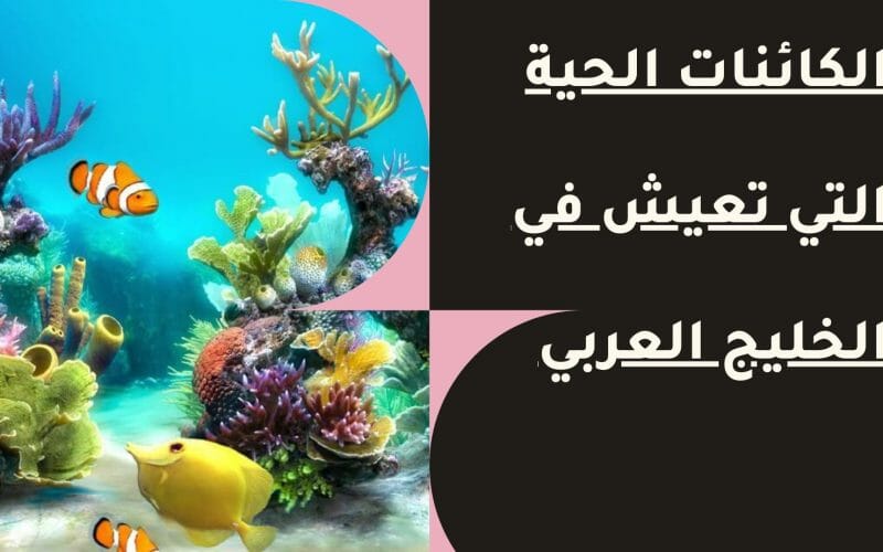 الكائنات الحية التي تعيش في الخليج العربي