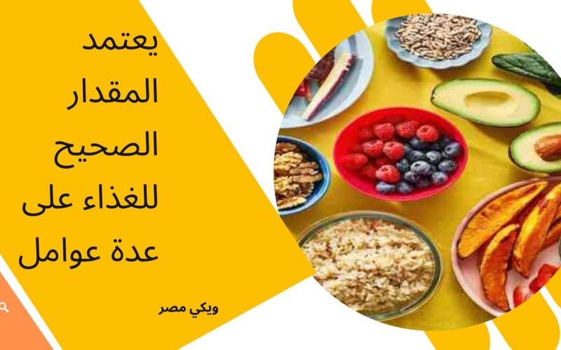 يعتمد المقدار الصحيح للغذاء على عدة عوامل