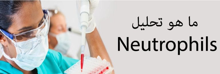 ما هو تحليل Neutrophils؟
