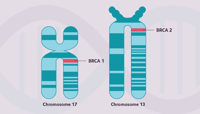 معلومات عن اختبار BRCA