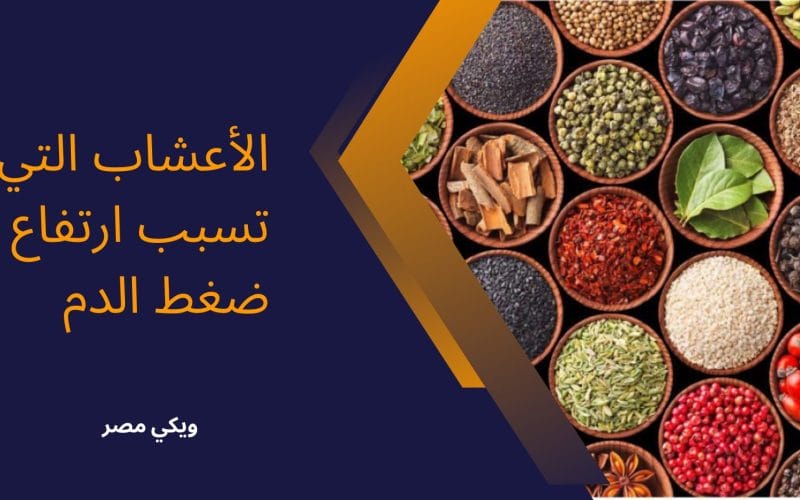 الأعشاب التي تسبب ارتفاع ضغط الدم في الجسم