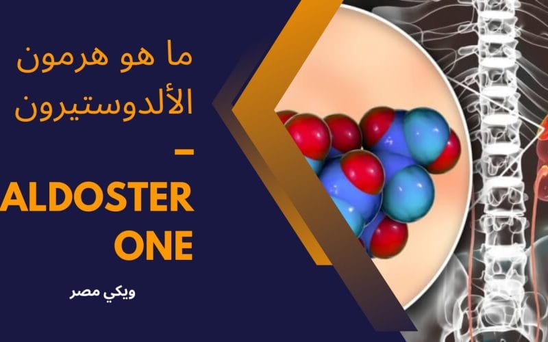 ما هو هرمون الألدوستيرون – aldosterone