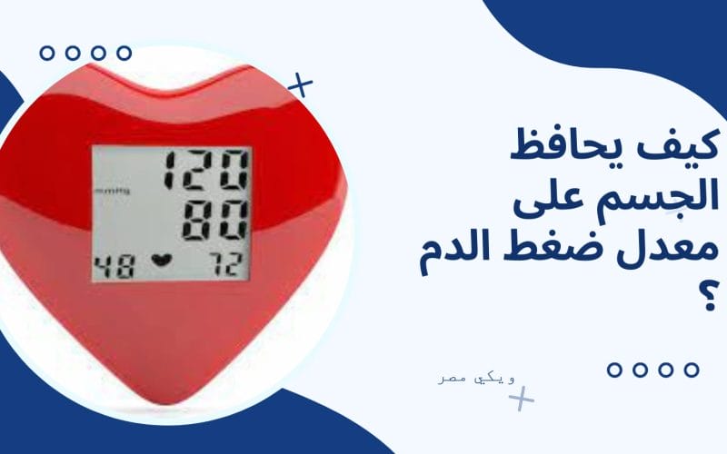 كيف يحافظ الجسم على معدل ضغط الدم في الجسم