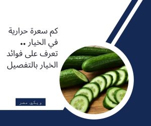 الخيار