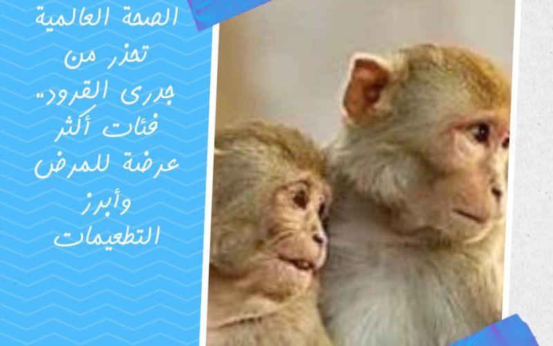 الصحة العالمية تحذر من جدرى القرود.. فئات أكثر عرضة للمرض وأبرز التطعيمات